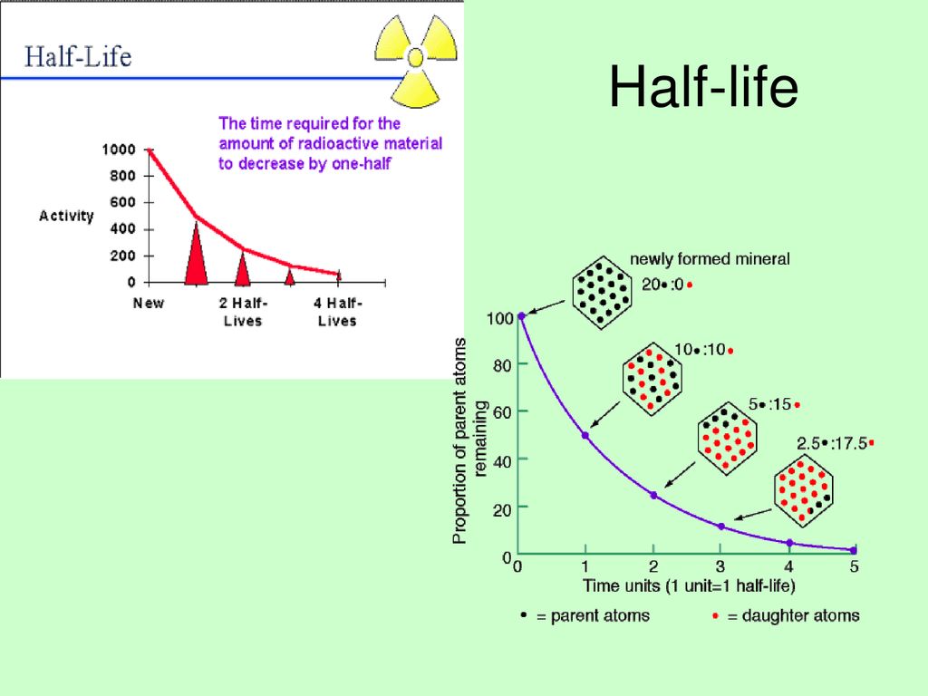 Absolute Dating. - ppt download