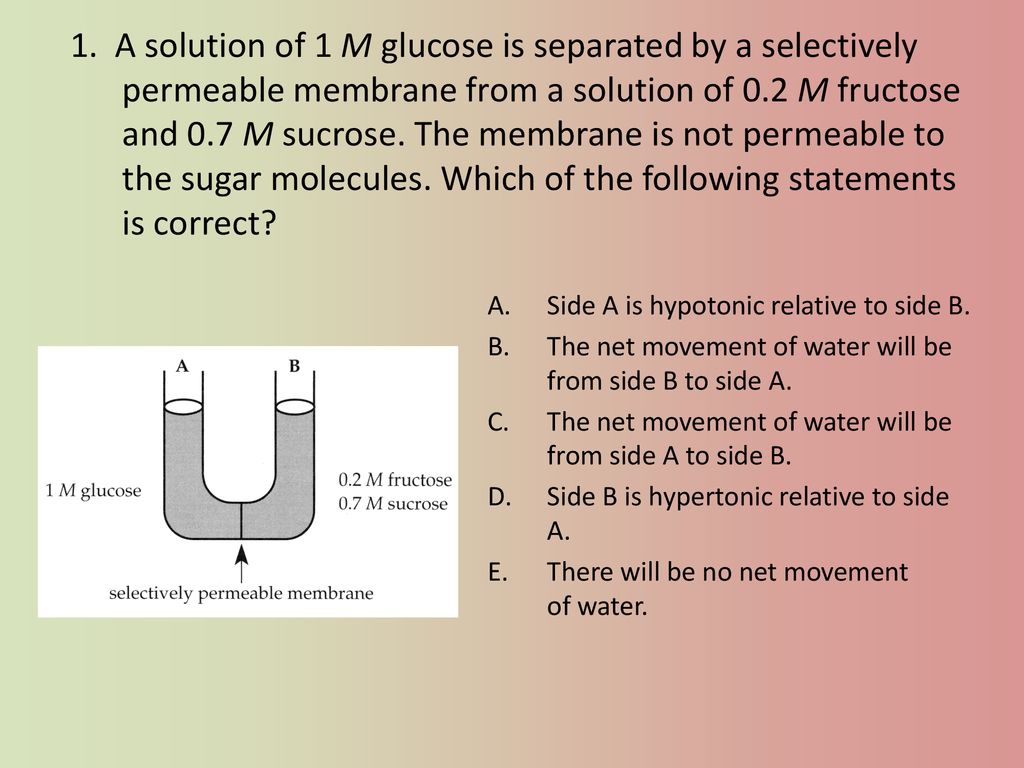 Movement Across The Cell Membrane Ch 7 Ppt Download movement-across-the-cell-membrane-ch-7-ppt-download