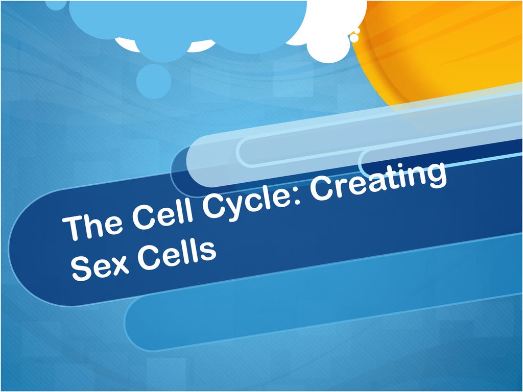 The Cell Cycle Creating Somatic Cells Ppt Download 