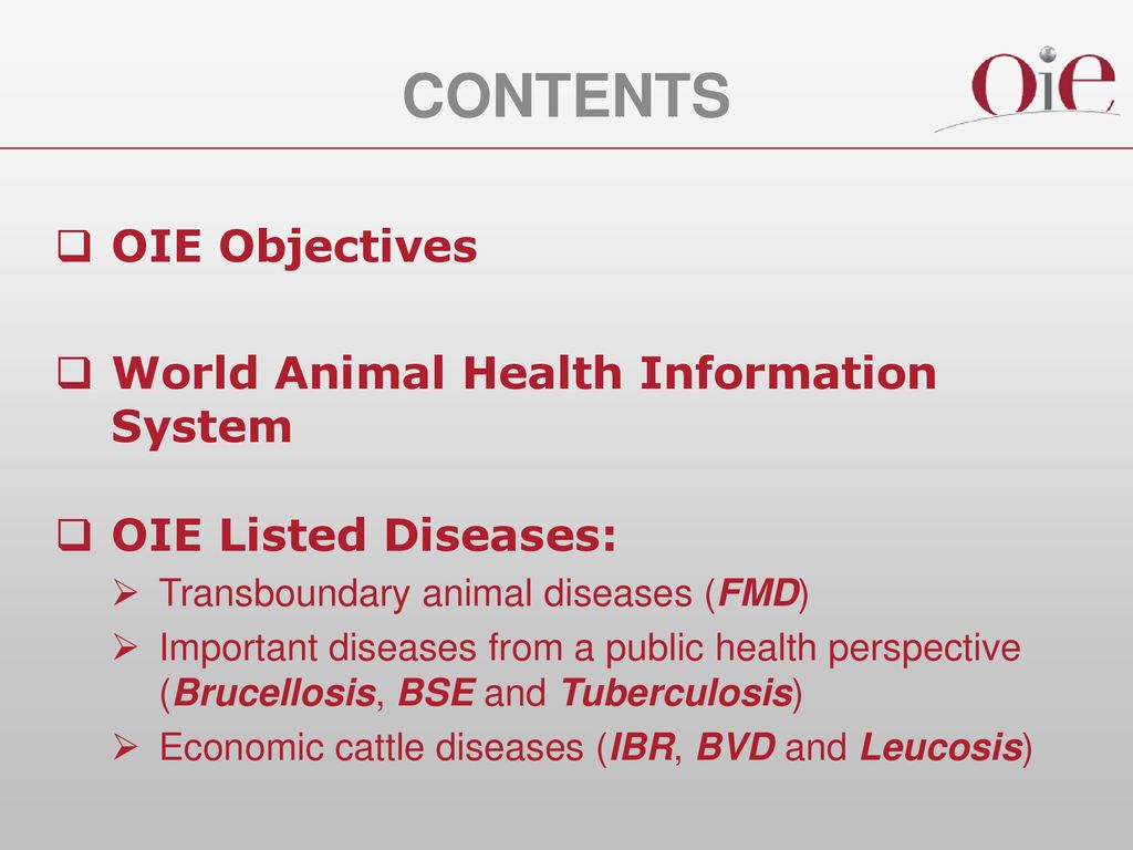 Major animal diseases around the world and prevalence - ppt download