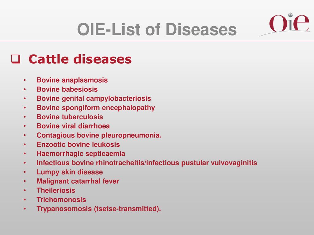 Major animal diseases around the world and prevalence - ppt download