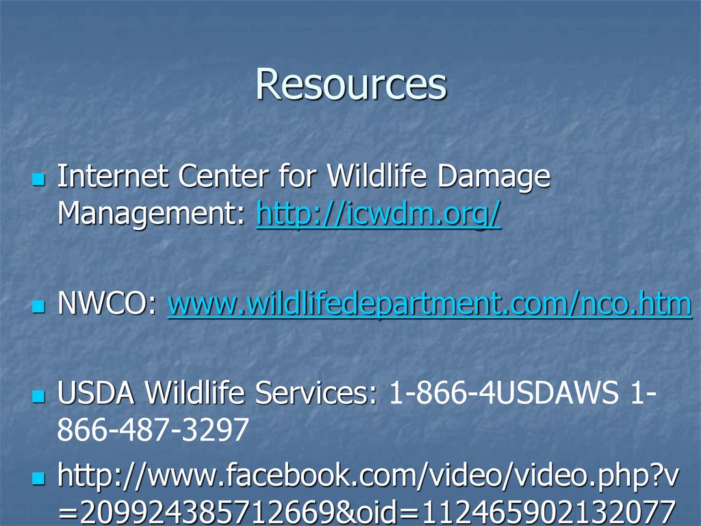 Urban Wildlife Damage Control Ppt Download