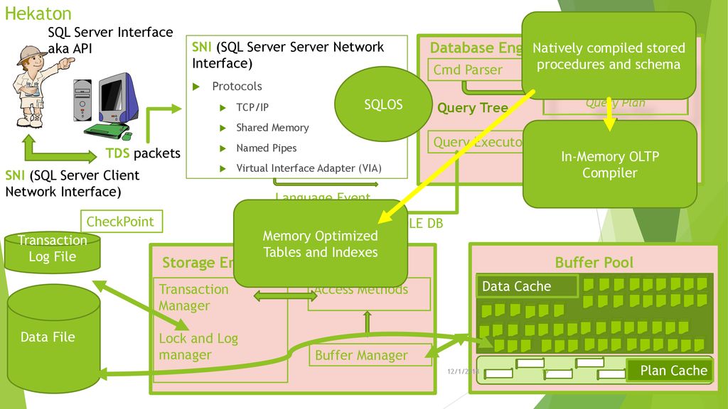 Sql server internals architecture ppt download
