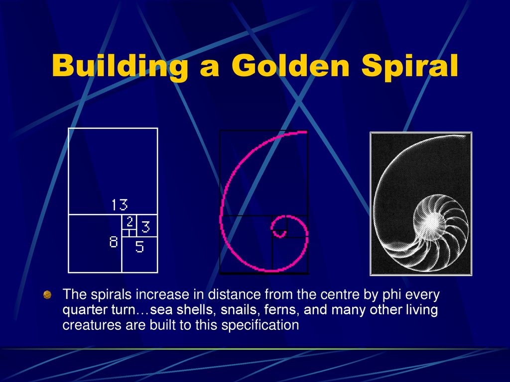 The Divine Proportion – a Masonic Number - ppt download