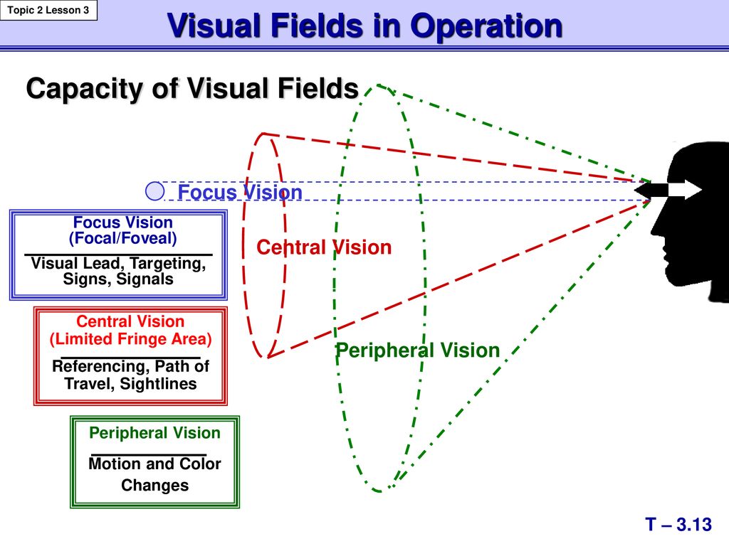 Центральное поле зрения. Боковое зрение и периферическое. Центральное и периферическое зрение. Периферийное зрение. Понятие центрального и периферического зрения.