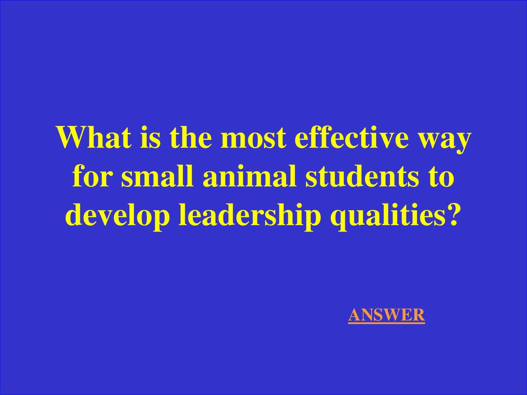 What is the most effective way for small animal students to develop leadership qualities