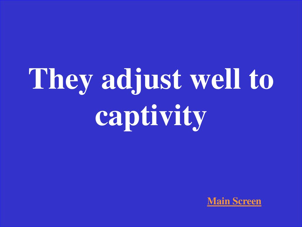 They adjust well to captivity