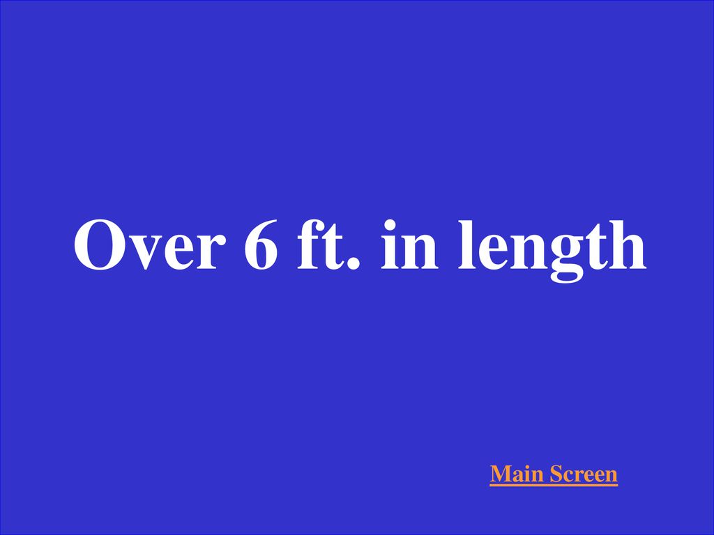Over 6 ft. in length Main Screen