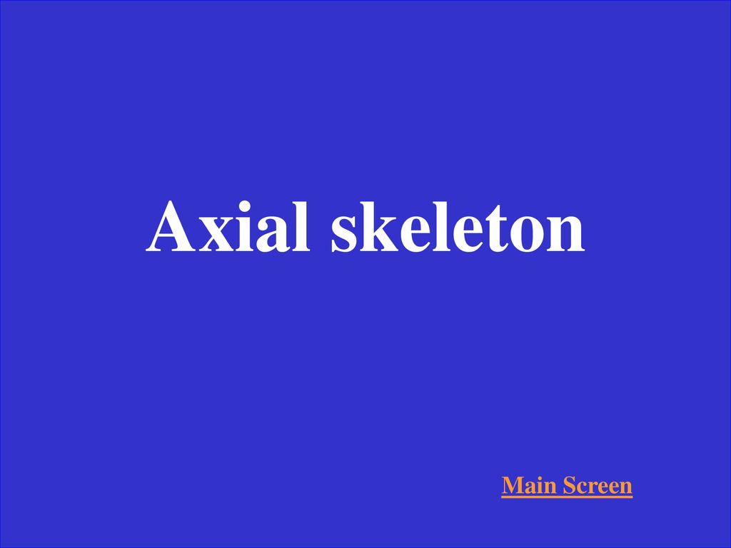 Axial skeleton Main Screen