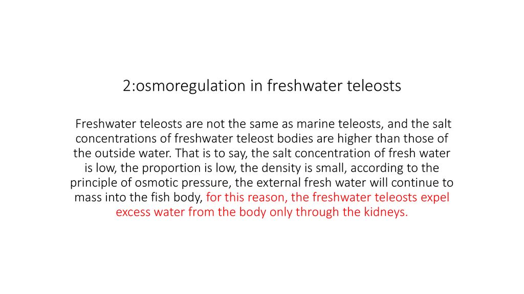Osmoregulation ppt download