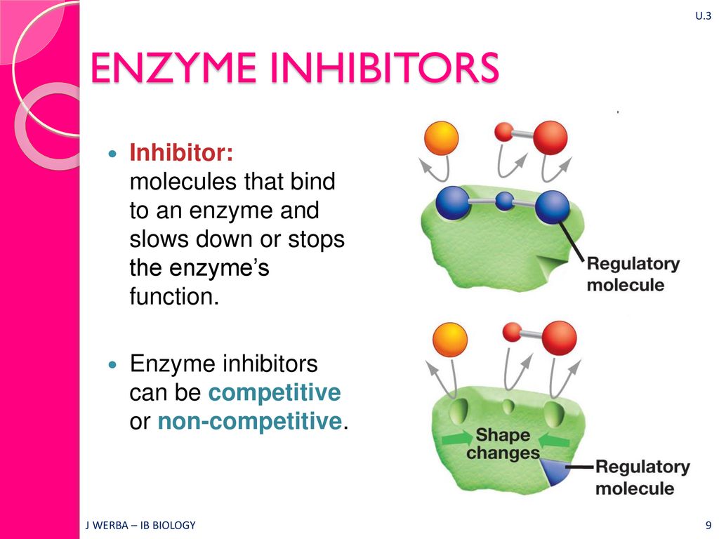 Пав энзимы. Enzyme inhibitors. Enzyme meaning. Function of Enzyme. Non competitive inhibitor.