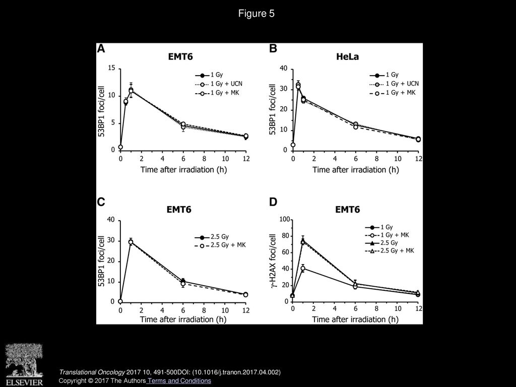 Figure 5 Effect of Chk1 inhibitors on radiation-induced double-strand breaks.