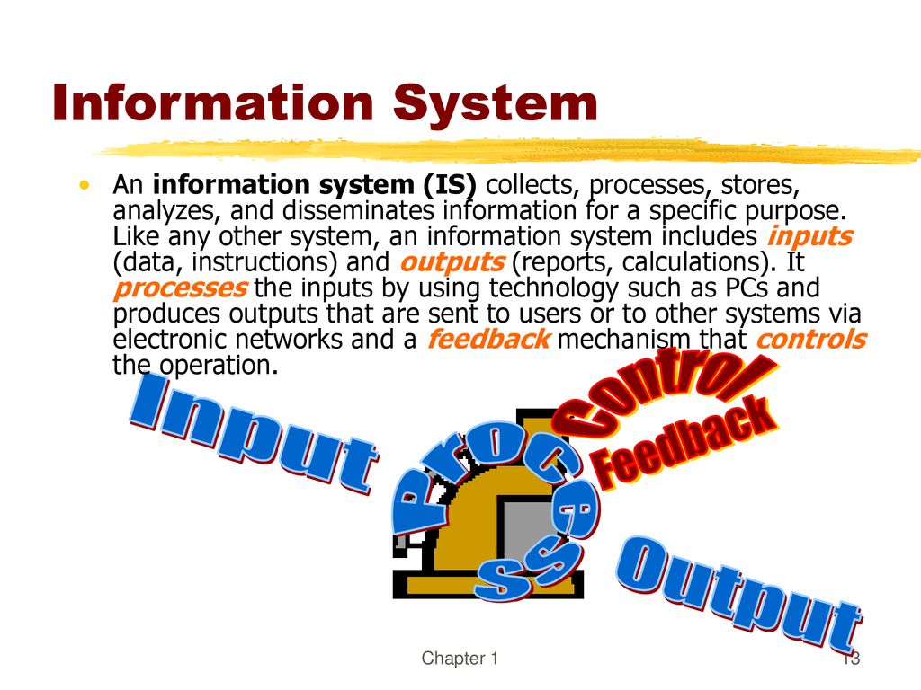 Information System Control Input Process Feedback Output