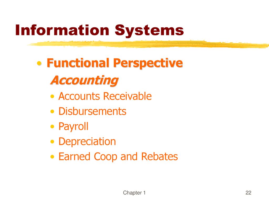 Information Systems Functional Perspective Accounting