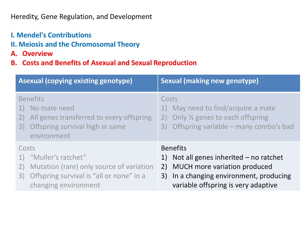 Heredity, Gene Regulation, and Development