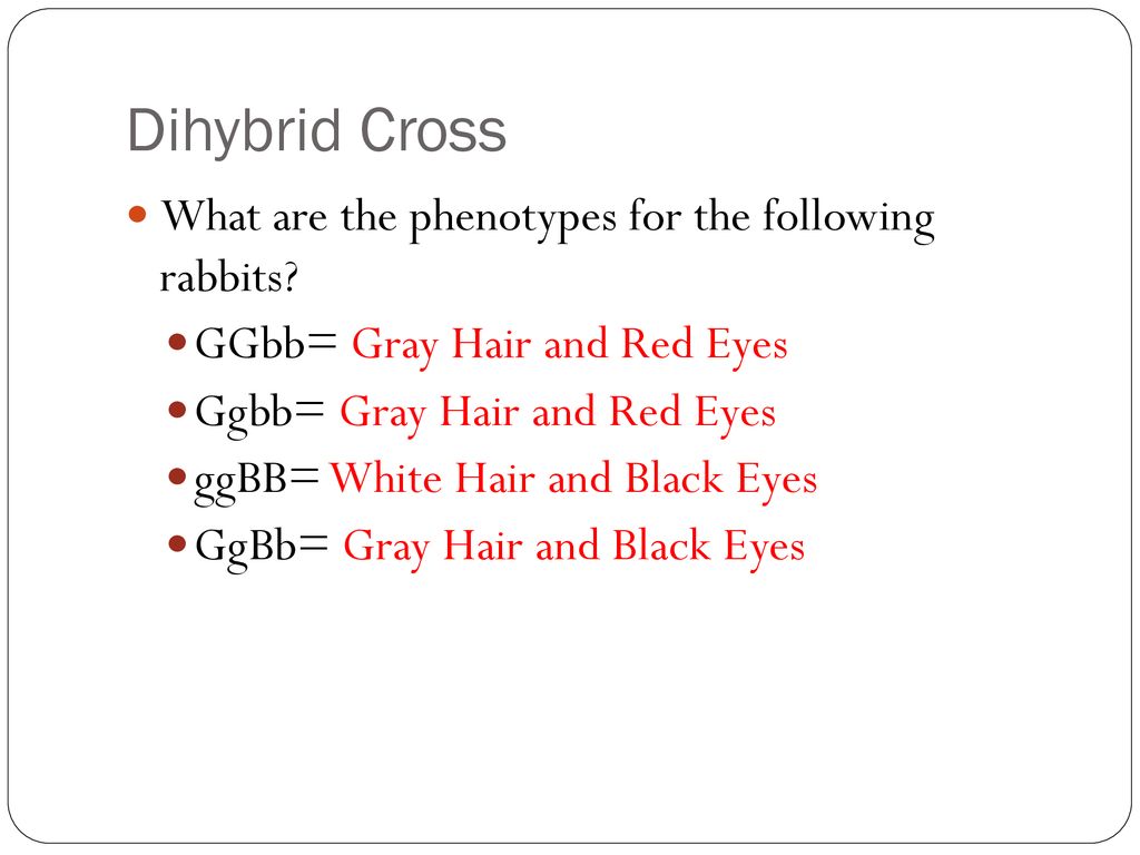 Genetics Ppt Download