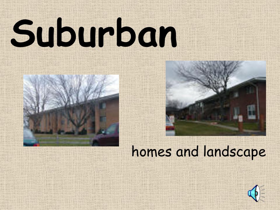 Suburban homes and landscape