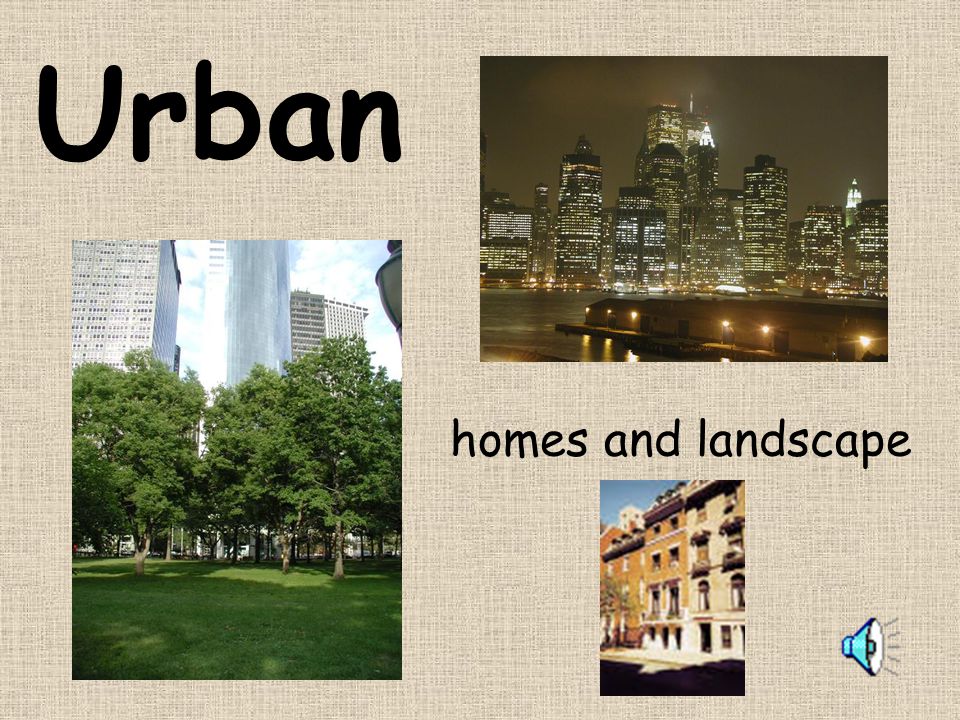 Urban homes and landscape