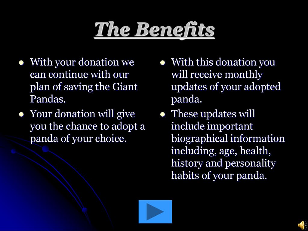 Founder: Andrea M. Willett - ppt download