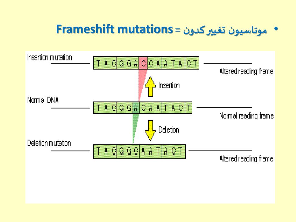 موتاسیون تغییر کدون = Frameshift mutations
