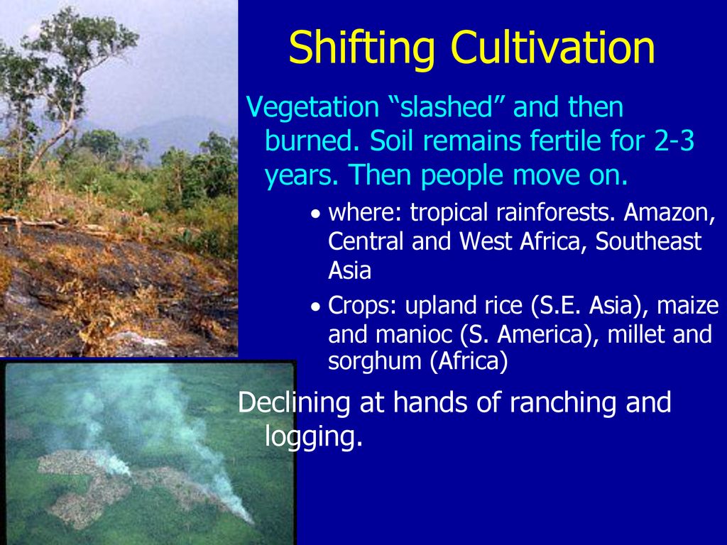 Shifting Cultivation Vegetation slashed and then burned. Soil remains fertile for 2-3 years. Then people move on.