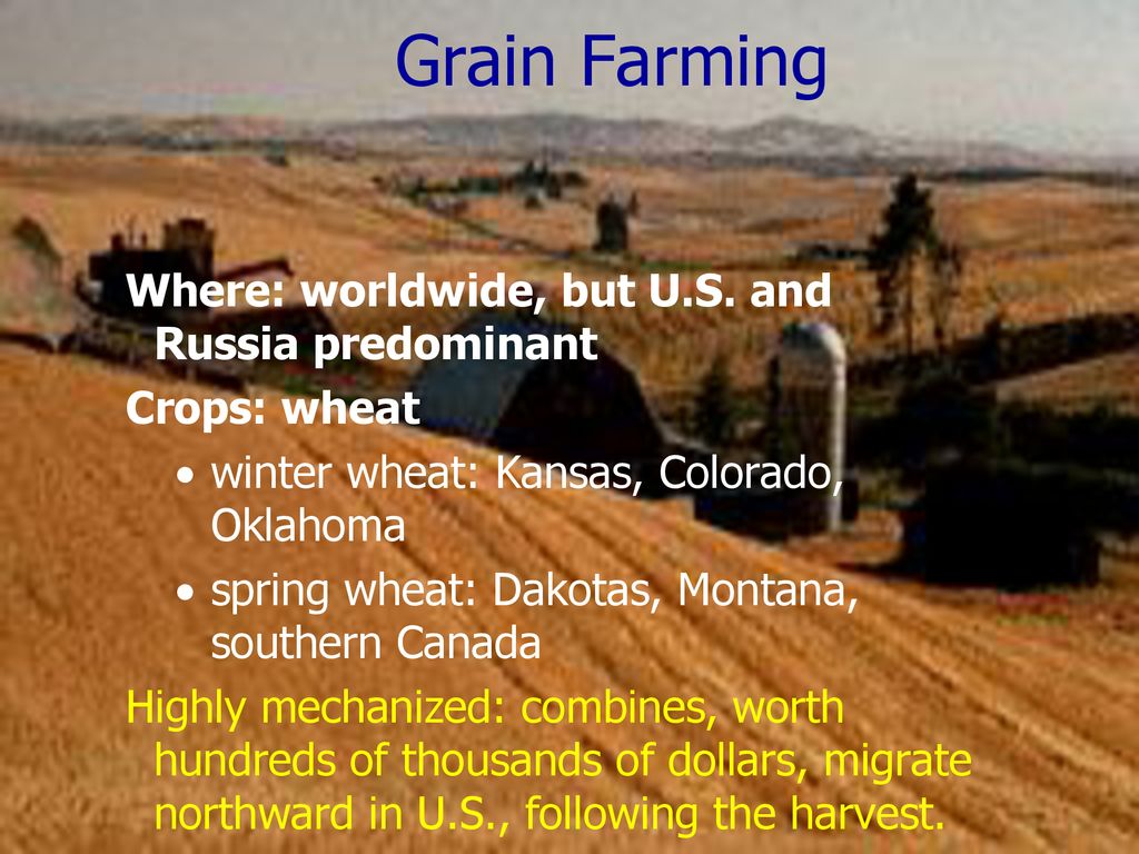 Grain Farming Where: worldwide, but U.S. and Russia predominant
