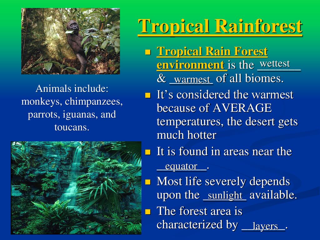 Biomes. - ppt download