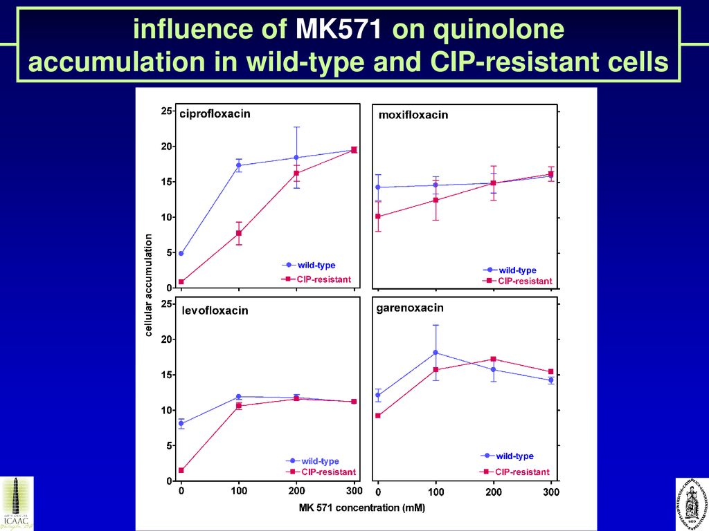 influence of MK571 on quinolone accumulation in wild-type and CIP-resistant cells