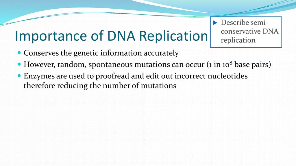 Semi Conservative DNA Replication - ppt download