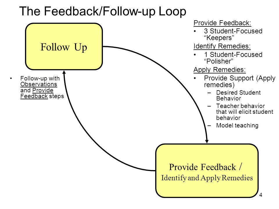 The Feedback/Follow-up Loop