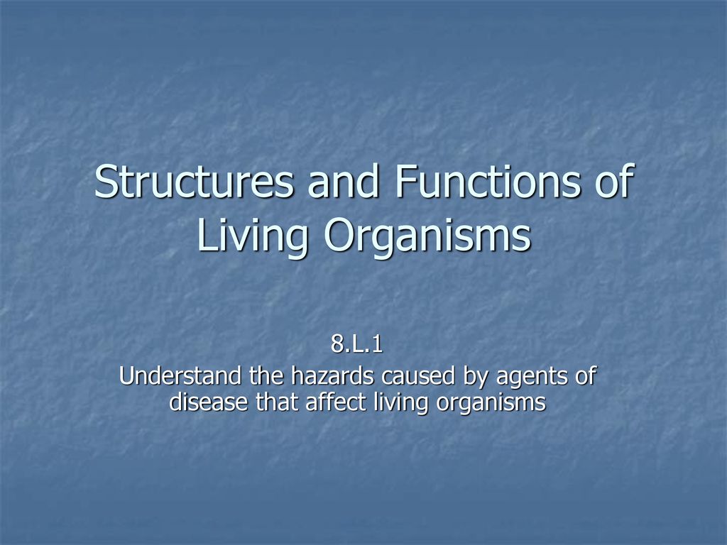 Structures and Functions of Living Organisms - ppt download