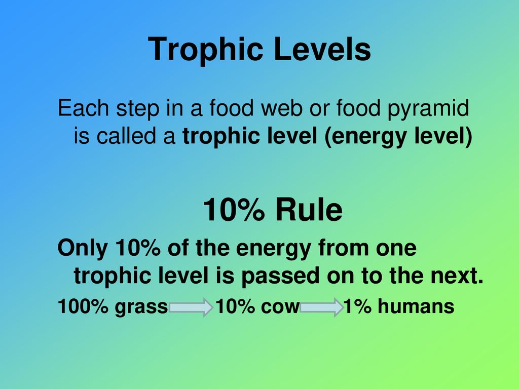 chapter-3-how-ecosystems-work-ppt-download