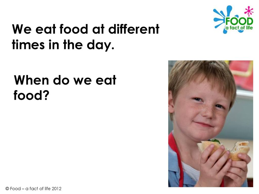 PowerPoint 101 I Like That Food A Fact Of Life Ppt Download powerpoint-101-i-like-that-food-a-fact-of-life-ppt-download