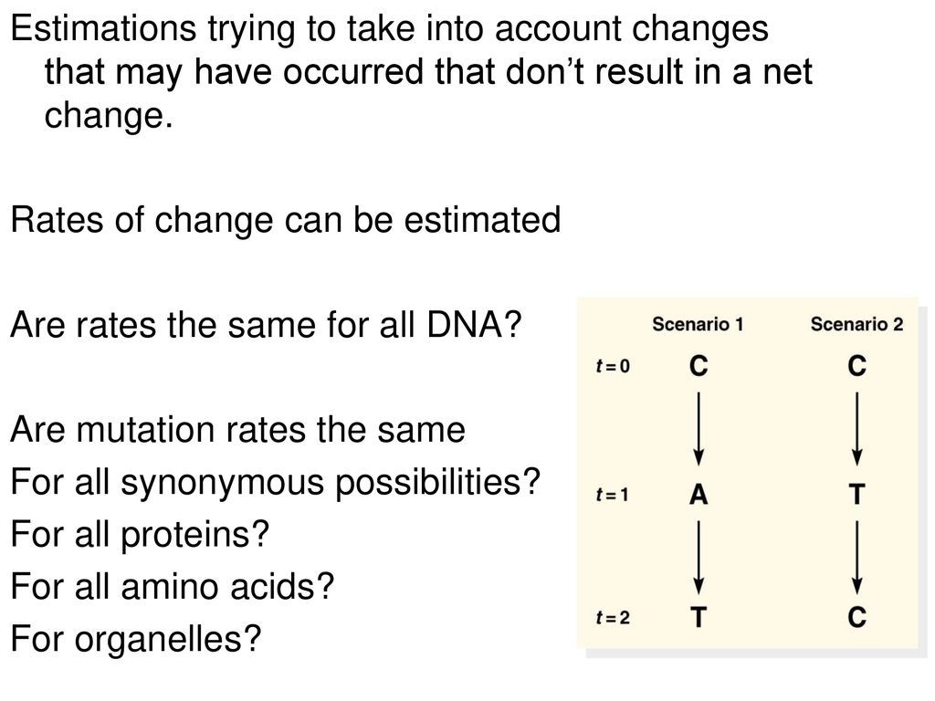 Estimations trying to take into account changes that may have occurred that don’t result in a net change.
