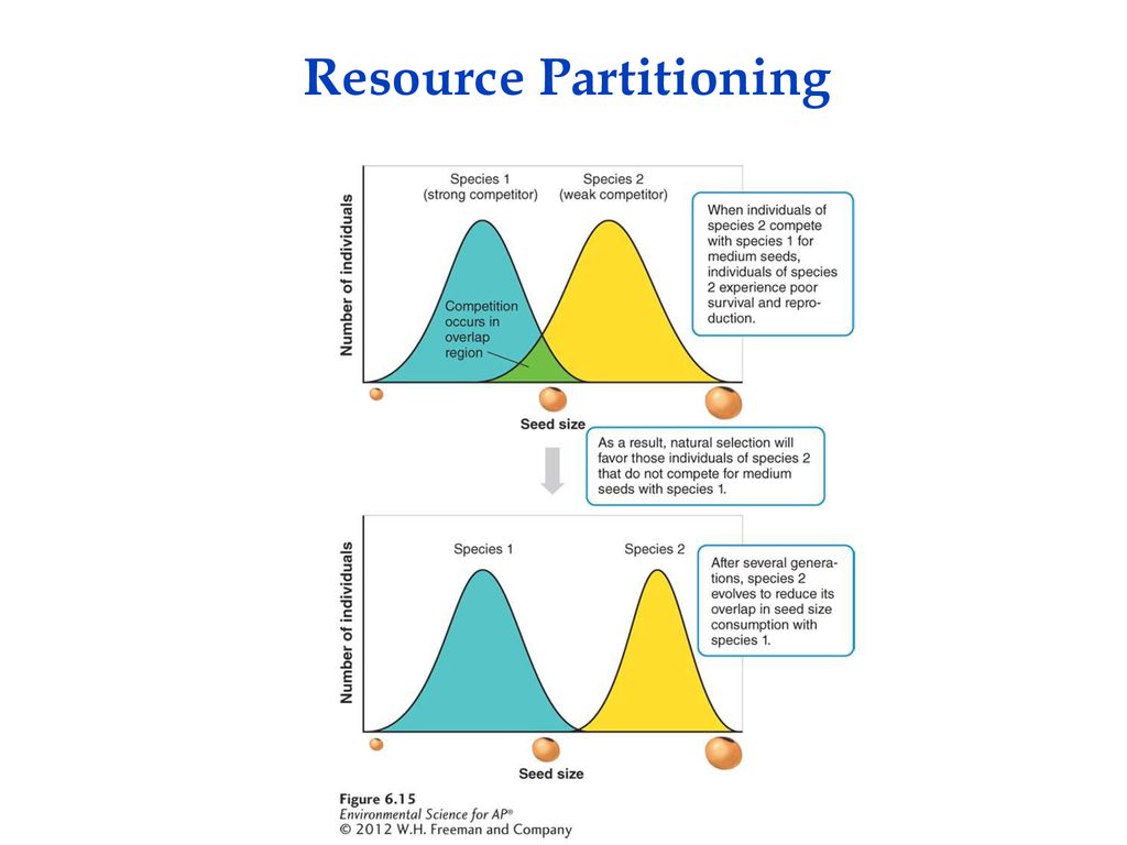 Competition niche utilization ppt download