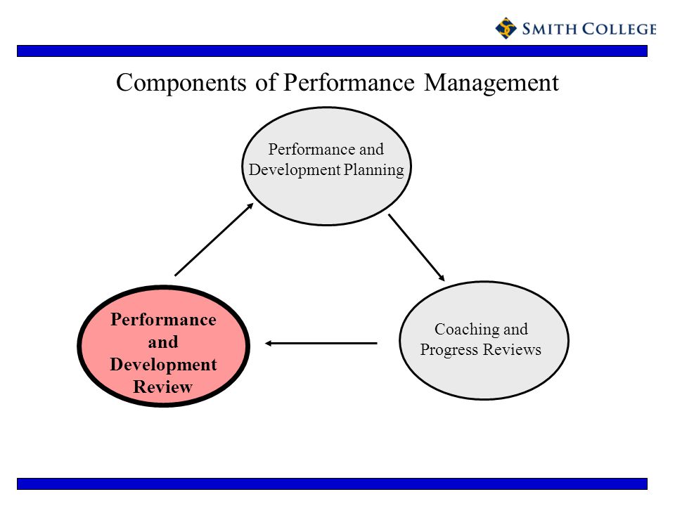 Components of Performance Management