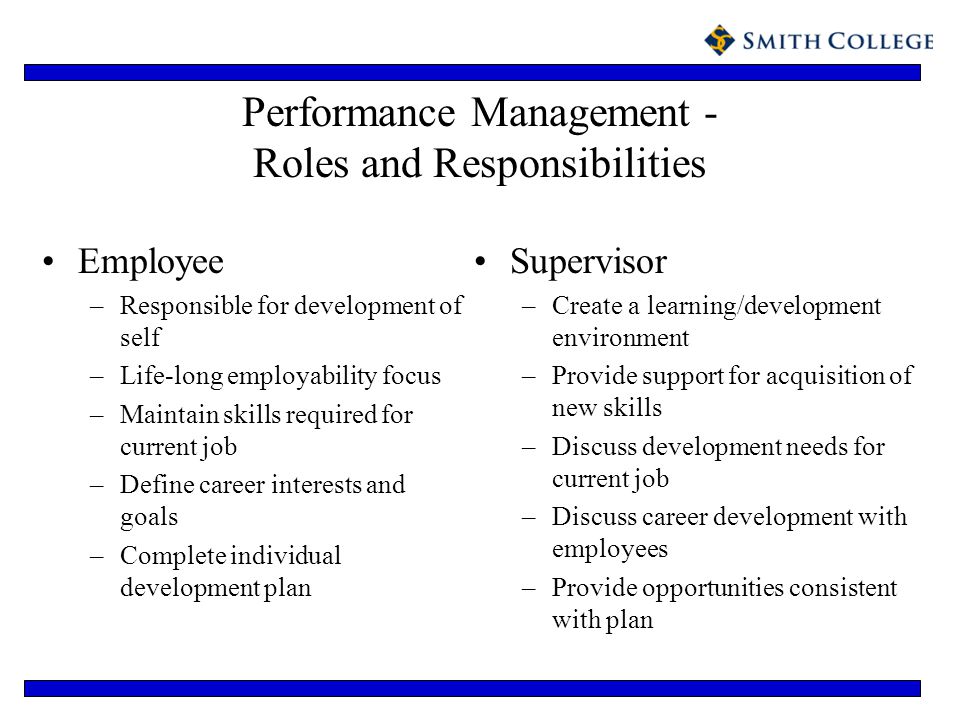 Performance Management - Roles and Responsibilities
