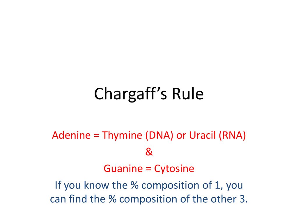 Adenine = Thymine (DNA) or Uracil (RNA)