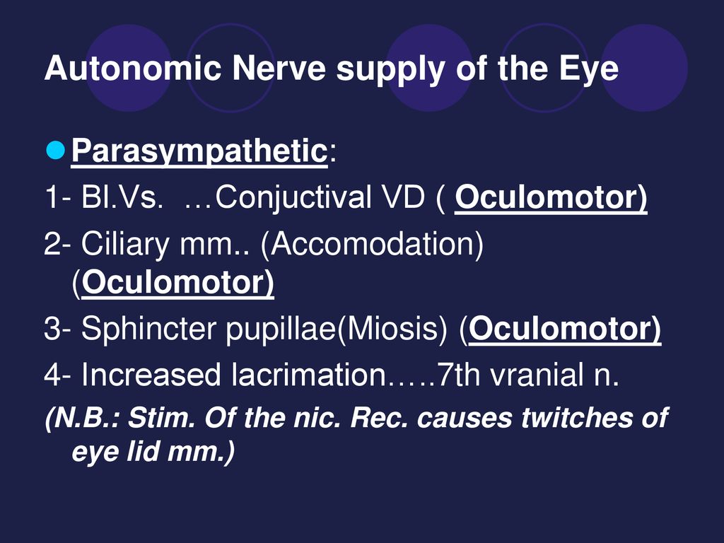 Autonomic Nerve supply of the Eye