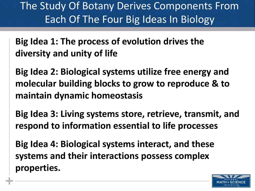 Overview Of Plants Plant Structure Ppt Download overview-of-plants-plant-structure-ppt-download