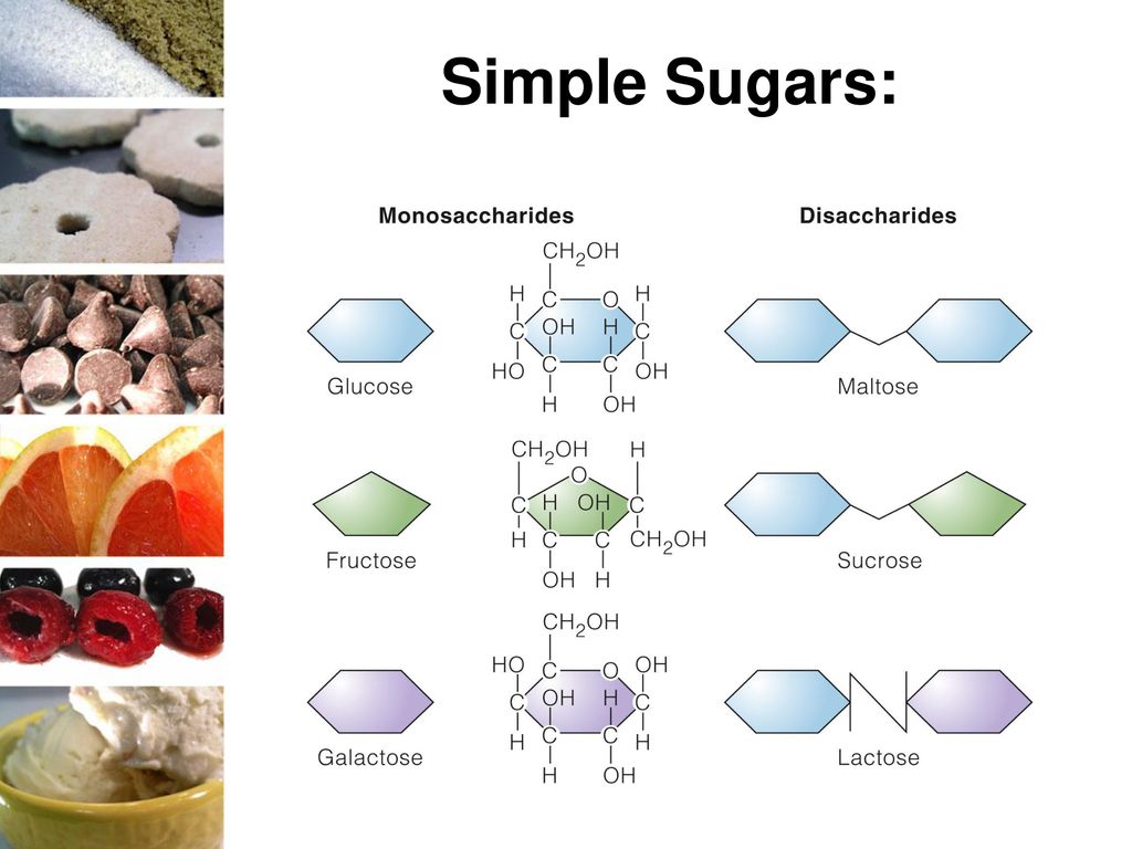 By jennifer turley and joan thompson ppt download