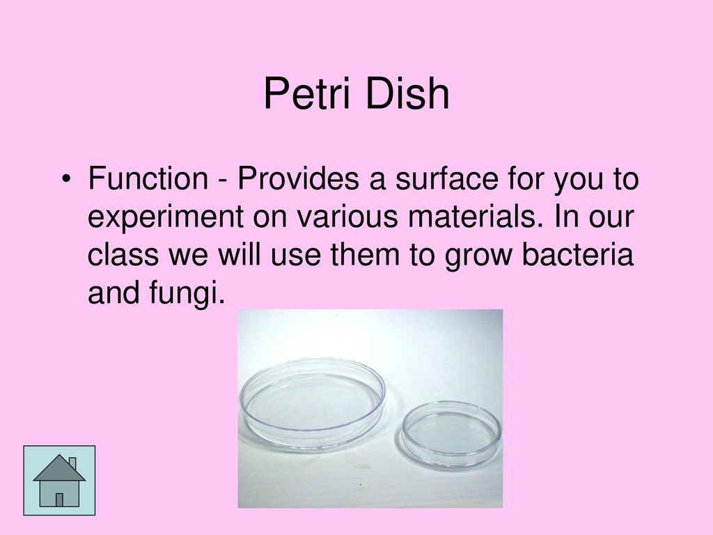 Common lab equipment ppt download