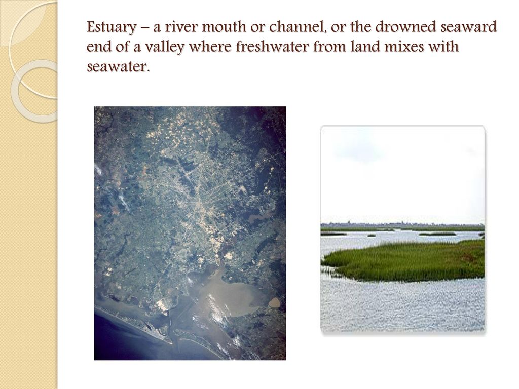 Estuary – a river mouth or channel, or the drowned seaward end of a valley where freshwater from land mixes with seawater.