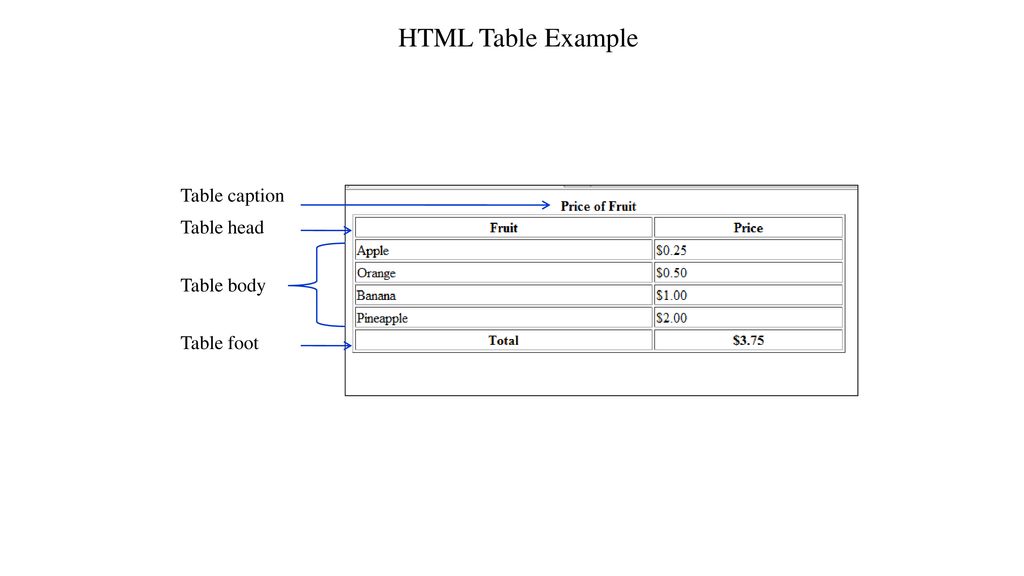 Ch2: Introduction to HTML5 - ppt download