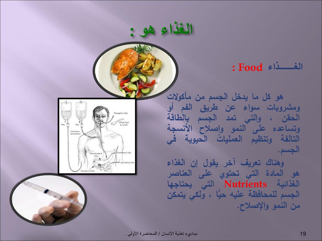 مباديء تغذية الانسان / المحاضرة الأولى . - ppt download