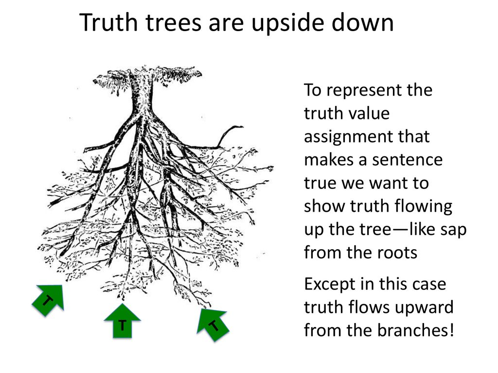 They like trees. Power roots таблица. The Inverted Tree. I like Trees. Long Tree for POWERPOINT.