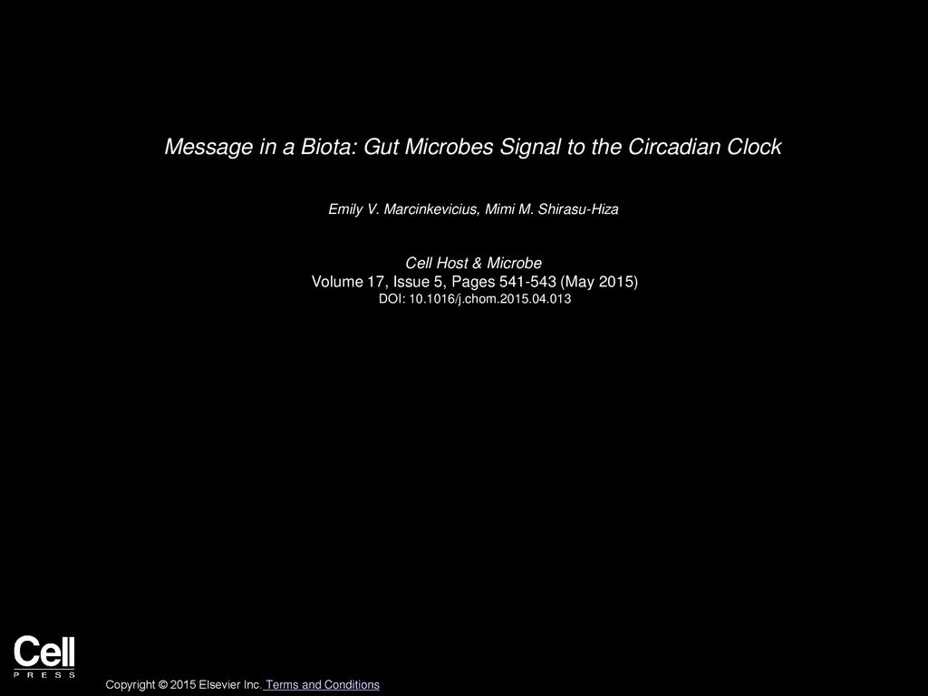 Message in a Biota: Gut Microbes Signal to the Circadian Clock