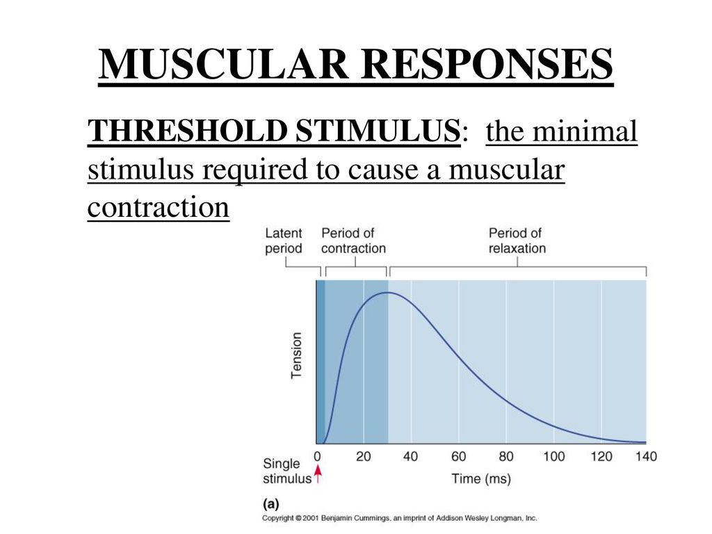 what is the minimal or threshold stimulus
