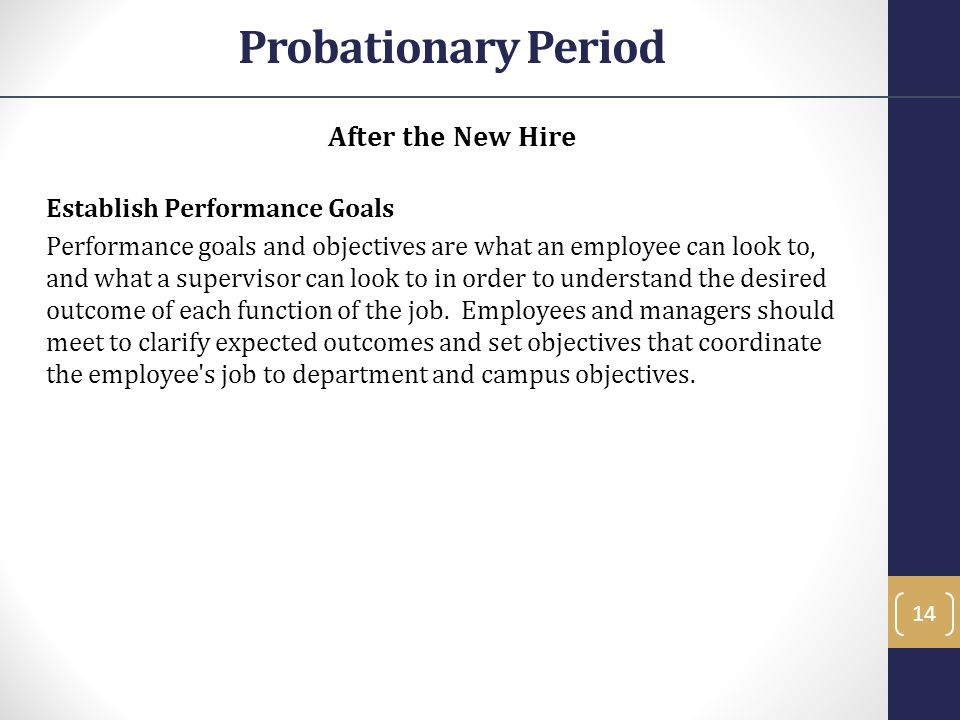 Probationary Period After the New Hire Establish Performance Goals