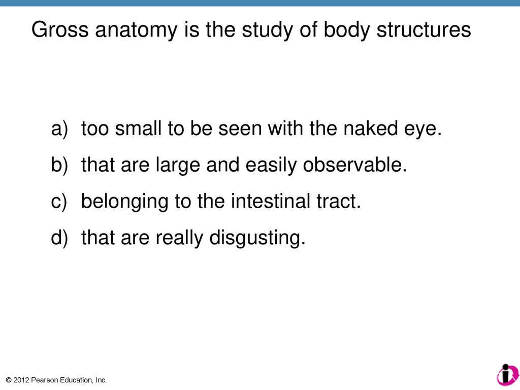 The Human Body: An Orientation Biology Diagrams